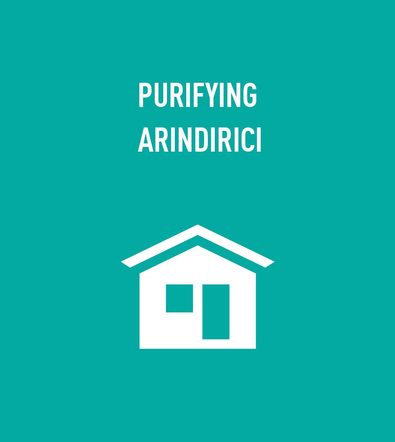 Arındırıcı