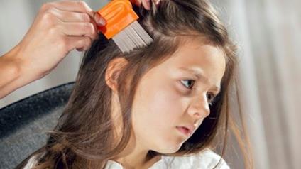 Did you know lice and nits are not only present during the back to school period but all year long?... 